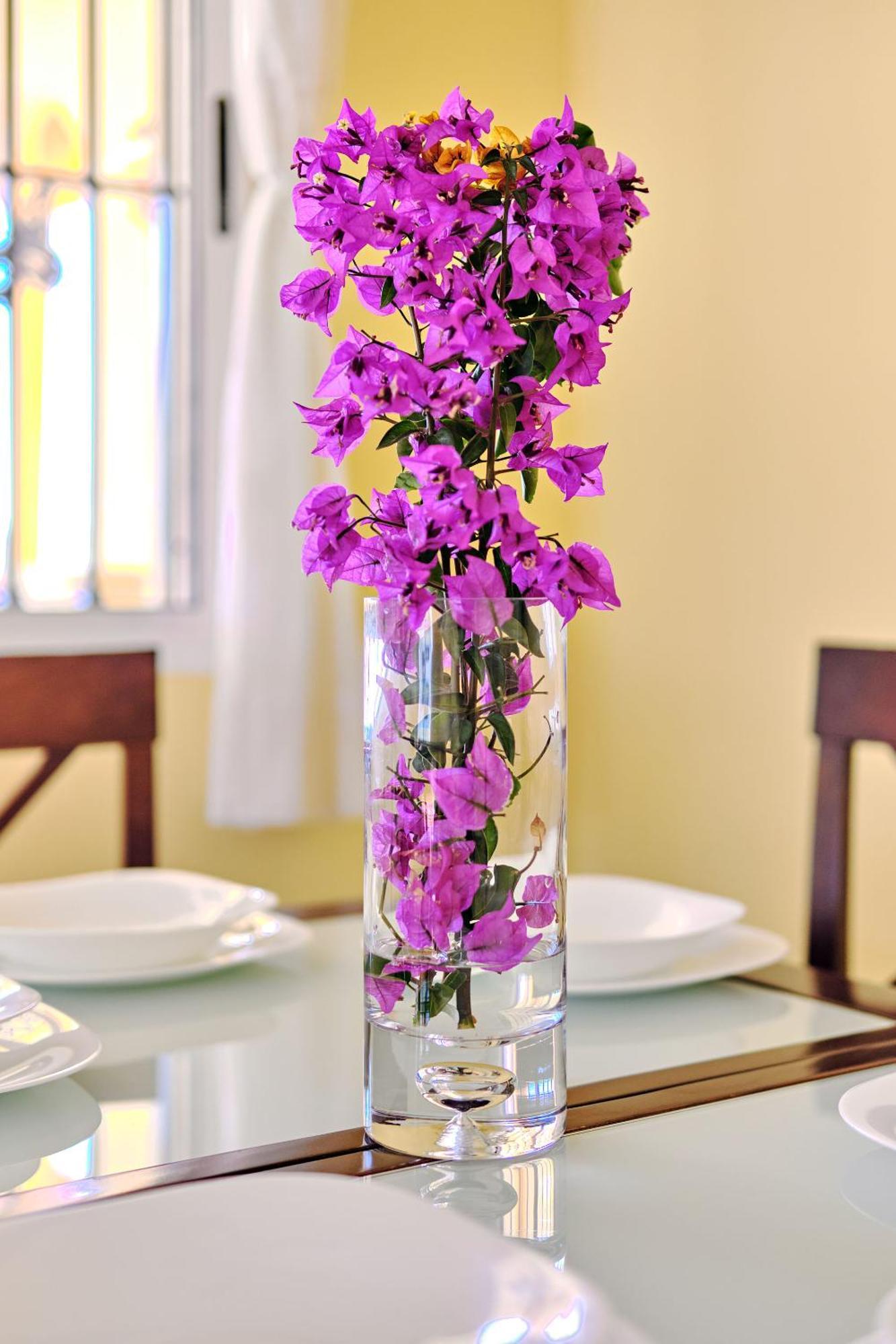 Casa Tortuga - 3 Bedrooms And Private Pool Hondon de las Nieves Ngoại thất bức ảnh